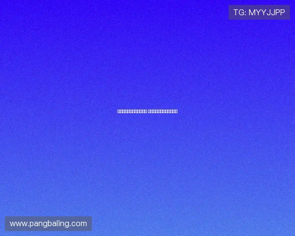 维特塞尔即将加盟乌迪内斯 签约一年并可选择续约一年